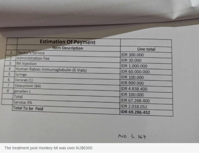 Tangkapan layar pengakuan turis. (news.com.au)